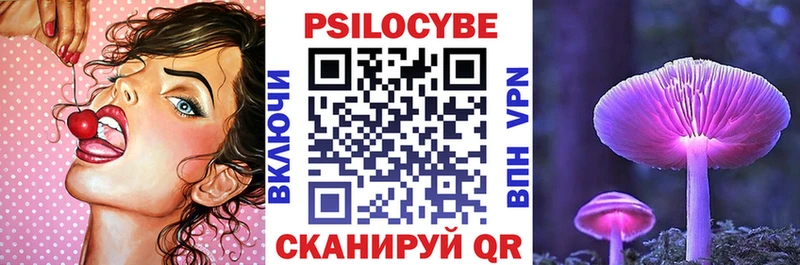Псилоцибиновые грибы Psilocybine cubensis  Купить где  Юрьевец 